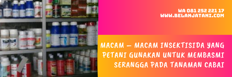 confidor untuk hama apa, bahan aktif confidor, confidor insektisida, confidor bayer, insektisida untuk cabe