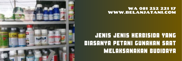 Jual Herbisida Agil Untuk Bawang Merah Berharga Yang Terjangkau | Belanja Tani cara aplikasi herbisida agil, herbisida agil untuk cabe, herbisida agil untuk kacang tanah, herbisida purna tumbuh untuk bawang merah, kegunaan herbisida agil