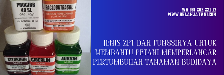 fungsi zpt atonik, kandungan zpt atonik, cara penggunaan atonik, zpt terbaik untuk bawang merah, bahan aktif atonik