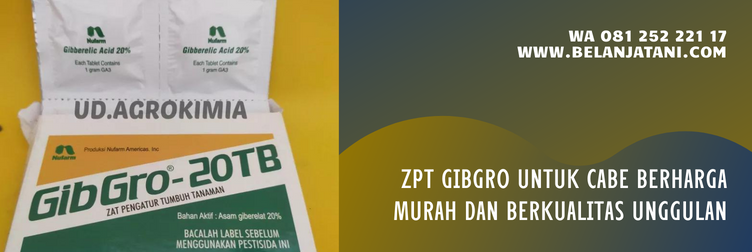 fungsi gibgro untuk cabe, harga gibgro, jenis zpt untuk cabe, merk zpt untuk cabe, gibgro untuk cabe
