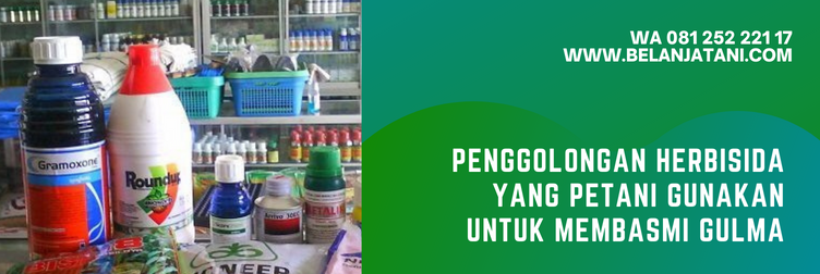 goal 240 ec, harga herbisida goal 240 ec, aplikasi goal 240 ec, harga herbisida goal, herbisida untuk bawang merah, herbisida pra tumbuh untuk bawang merah
