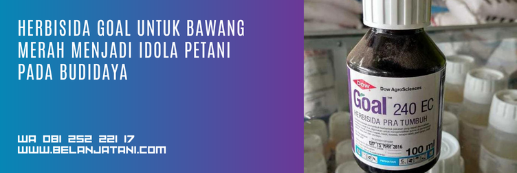 goal 240 ec, harga herbisida goal 240 ec, aplikasi goal 240 ec, harga herbisida goal, herbisida untuk bawang merah, herbisida pra tumbuh untuk bawang merah