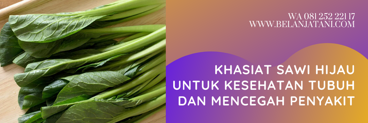 bibit sawi, harga bibit sawi hijau, bibit sawi hijau, harga bibit sawi, benih sawi hijau, benih sawi