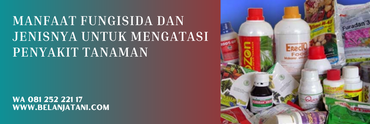 cara kerja fungisida dithane, bahan aktif fungisida dithane, harga fungisida dithane, fungisida untuk padi, fungisida padi musim hujan