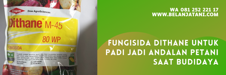cara kerja fungisida dithane, bahan aktif fungisida dithane, harga fungisida dithane, fungisida untuk padi, fungisida padi musim hujan