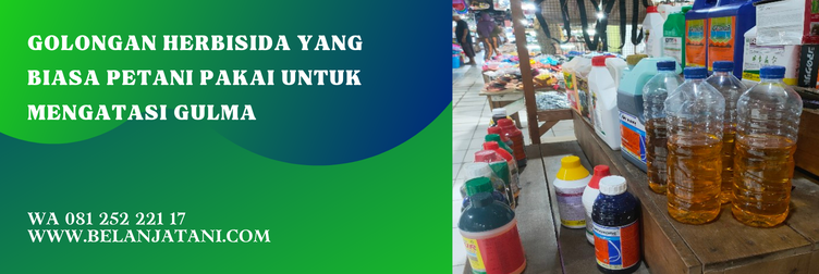 bahan aktif herbisida rumpas, rumpas untuk cabe, herbisida selektif cabai, rumpas herbisida, dosis rumpas per tangki