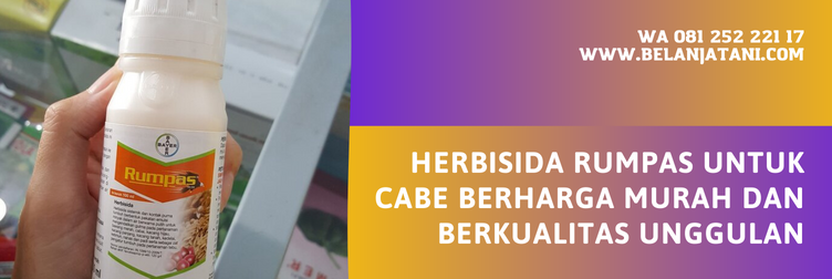 Jual Herbisida Rumpas Untuk Cabe Harga Murah Kualitas Terbaik | Belanja Tani bahan aktif herbisida rumpas, rumpas untuk cabe, herbisida selektif cabai, rumpas herbisida, dosis rumpas per tangki