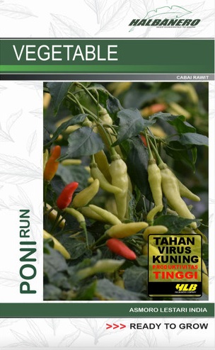 Cabe Rawit Ponirun, Jual Cabe Rawit Ponirun, Cabe Rawit Ponirun Halbanero, Benih Cabe Rawit Ponirun Murah, Cabe Rawit Ponirun Anti Virus, Cabe Rawit Ponirun Terbaru Murah, Belanja Tani