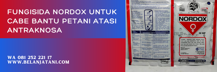 nordox fungisida, manfaat nordox untuk cabe, nordox untuk cabe, bahan aktif nordox, fungisida sistemik untuk cabe