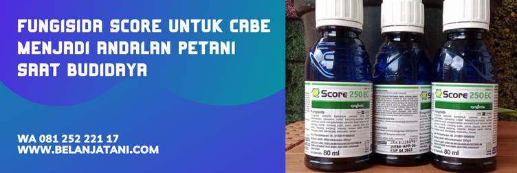 score fungisida, harga score, manfaat fungisida score untuk cabe, manfaat fungisida score, keunggulan fungisida score