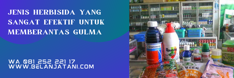 harga herbisida kayabas, herbisida untuk jagung, kayabas untuk jagung, herbisida pra tumbuh untuk jagung, bahan aktif herbisida kayabas