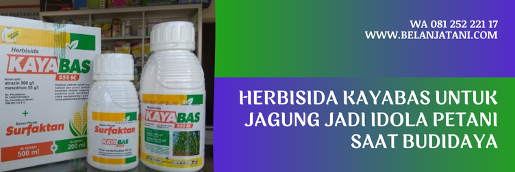 harga herbisida kayabas, herbisida untuk jagung, kayabas untuk jagung, herbisida pra tumbuh untuk jagung, bahan aktif herbisida kayabas