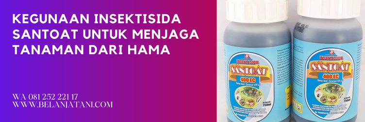 bahan aktif santoat, harga insektisida santoat, kegunaan insektisida, manfaat insektisida, insektisida bahan aktif dimetoat