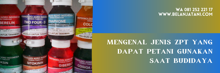 zpt bigest 40 ec, zpt terbaik untuk padi, merk zpt untuk cabe, dosis pemakaian bigest 40 ec, bigest 40 ec untuk padi