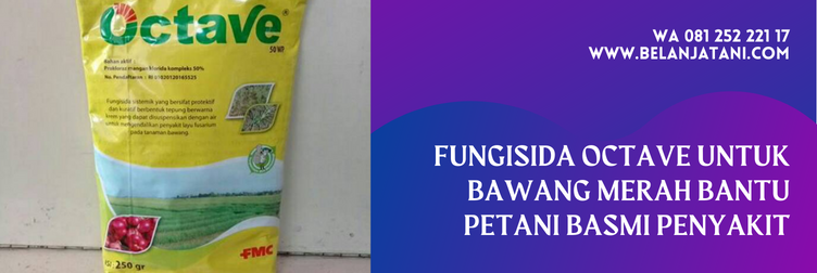 octave fungisida, fungisida untuk bawang merah di musim hujan, manfaat fungisida octave, bahan aktif fungisida octave, fungisida sistemik untuk layu fusarium