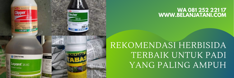 herbisida untuk padi sawah, herbisida purna tumbuh untuk tanaman padi, herbisida selektif untuk padi, herbisida purna tumbuh untuk padi, herbisida padi paling ampuh