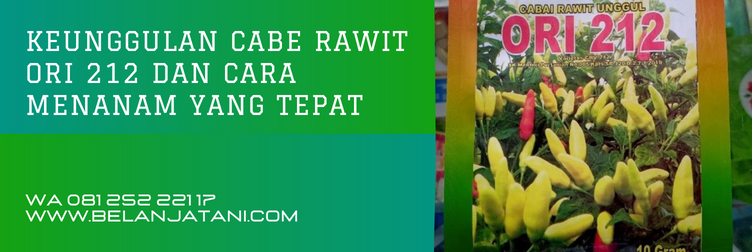 bibit cabe rawit ori 212, harga bibit cabe rawit ori 212, bibit cabe ori 212, ori 212 aura seed, deskripsi cabe rawit ori 212
