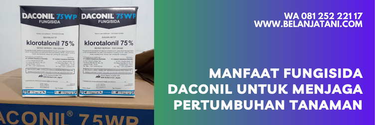 daconil fungisida, daconil, kegunaan fungisida daconil, harga daconil, bahan aktif fungisida daconil