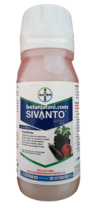 Sivanto Prime 200 SL, Insektisida Sivanto Prime, Insektisida Sivanto Prime 200 SL, Sivanto Prime, Sivanto Prime Murah, Sivanto Prime Insecticide, Sivanto Prime Label, Sivanto Prime Active Ingredient, Jual Sivanto Prime 200 SL, Insektisida Sistemik Untuk Kutu Kebul, Obat Antivirus, Antivirus Terbaik, Antivirus Terbaru, Bayer, Bayer Indonesia, Belanja Tani
