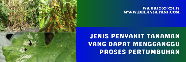 kegunaan fungisida revus opti, bahan aktif revus 250 sc, harga fungisida revus, fungsi fungisida revus, dosis revus opti, fungisida revus opti