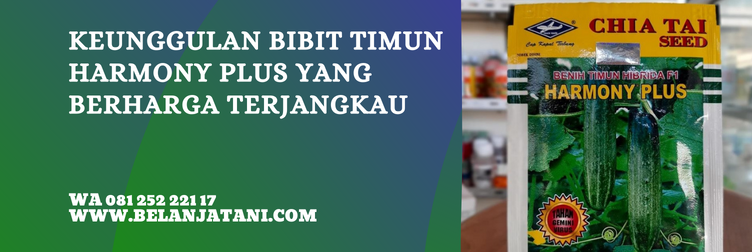 benih timun harmony plus, bibit timun harmony plus, bibit timun terbaik, bibit timun unggul, harga bibit timun, bibit mentimun yang bagus