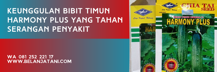 benih timun harmony plus, bibit timun harmony plus, bibit timun terbaik, bibit timun unggul, harga bibit timun, bibit mentimun yang bagus