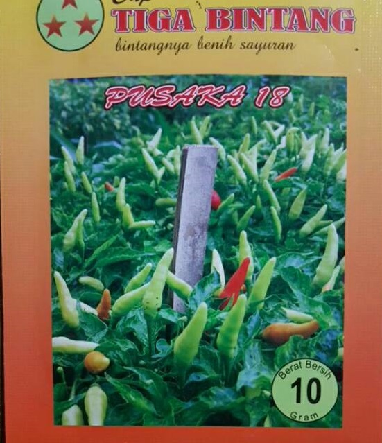 Cabe Pusaka 18, Cabai Kecil Pusaka 18, Jual Cabe Pusaka 18, Cabe Merah Pusaka 18, Cabe Kecil Pusaka 18, Jual Benih Cabe Pusaka 18, Beli Cabe Pusaka 18, Cabe Pusaka 18 Murah, Cabe Pusaka 18 Terbaru, Cabe Pusaka 18 Terbaik, Cabai Pusaka 18 Terbaru, Cap Tiga Bintang, Tiga Bintang, Belanja Tani