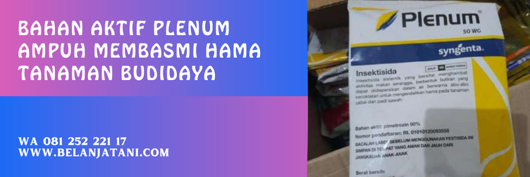 plenum insektisida, insektisida bahan aktif pimetrozin, harga plenum, produk syngenta untuk walang sangit, plenum bahan aktif