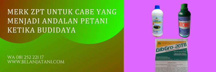 zpt terbaik untuk cabe, merk zpt di pasaran, merek dagang zpt untuk cabe, zpt untuk cabe, pupuk zpt untuk cabe