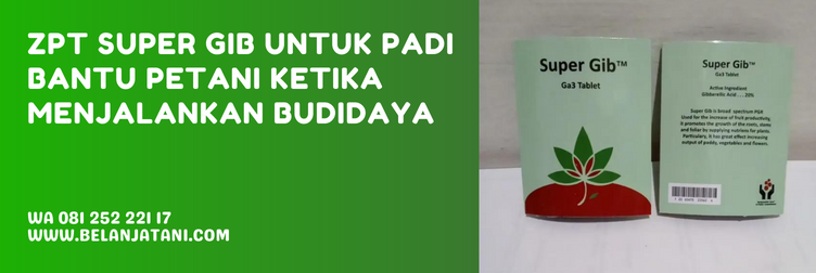 super gib, dosis super gib untuk padi, kegunaan super gib untuk padi, dosis super gib tablet untuk padi, harga super gib