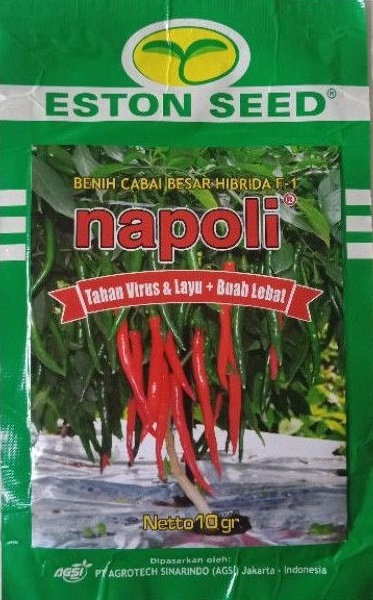Cabe Napoli, Cabe Napoli Murah, Cabe Napoli F1, Cara Menanam Cabe Napoli, Tanaman Cabe Napoli, Cabe Napoli Hibrida, Cabe Napoli Terbaik, Beli Cabe Napoli, Jual Cabe Napoli, Jual Cabe Napoli Terbaik, Jual Cabe Napoli Terbaru, Benih Cabe Napoli Murah, Eston Seed, Bisi, Bisi International, Belanja Tani