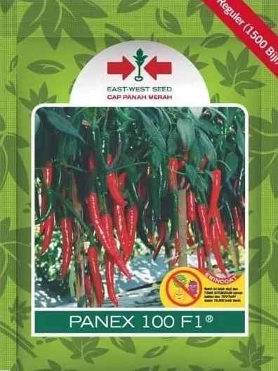 Cabe Panex, Cabai Panex F1, Cabe Merah Panex, Cabai Panex F1, Cara Menanam Cabe F1 Panex, Jual Cabe Merah Panex, Beli Cabe Merah Panex, East West Seed, Belanja Tani, Harga Murah