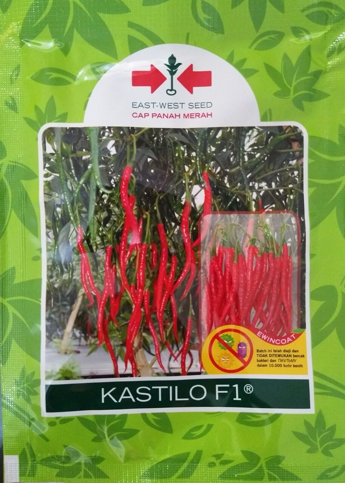 Cabe Kastilo, Cabe Merah Kastilo, Cabai Keriting Kastilo, Cabe F1 Kastilo Terbaru, Jual Cabe F1 Kastilo, East West Seed, Belanja Tani