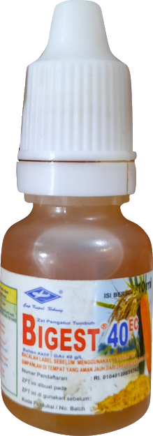 Bigest, ZPT Bigest, Bigest 40 Ec, Asam Giberelat, Giberelin, GA3, Hormon Bigest, Manfaat Bigest 40 EC, Cara Pemakaian Bigest 40 EC, ZPT Terbaik Untuk Padi, ZPT Adalah, MSI, PT MSI, Multi Sarana Indotani, Bisi International, Cap Kapal Terbang