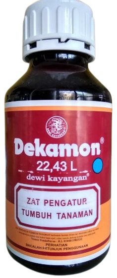 Dekamon, Dekamon 22.43 L, ZPT Dekamon 22.43 L, ZPT Dekamon, Hormon Dekamon, Cara Penggunaan Dekamon, Harga Dekamon, Cara Pakai Dekamon, Jual Dekamon Murah, Zpt Dekamon Murah, Dosis Pemakaian Dekamon Terbaik, ZPT Adalah, Dekamon Adalah, Dewi Kayangan, PT Kalatham, Belanja Tani