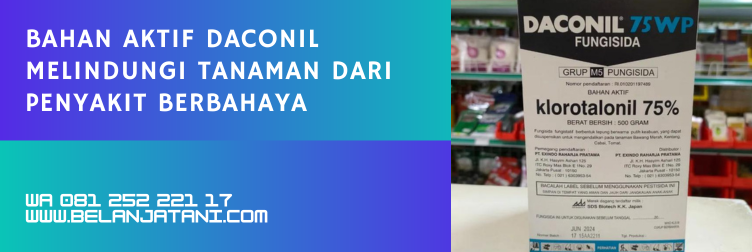 manfaat fungisida daconil, daconil fungisida, fungisida berbahan aktif klorotalonil, bahan aktif klorotalonil, manfaat fungisida berbahan aktif klorotalonil