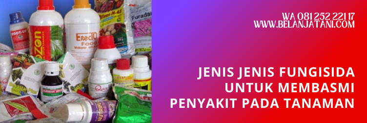 antracol fungisida, cara menggunakan antracol, campuran antracol, dosis antracol, dosis penggunaan antracol