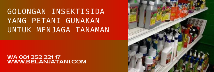 Jual Insektisida Regent Bubuk Harga Murah Berkualitas Terbaik | Belanja Tani regent bubuk, bahan aktif regent, kegunaan insektisida regent, dosis insektisida regent, harga regent bubuk