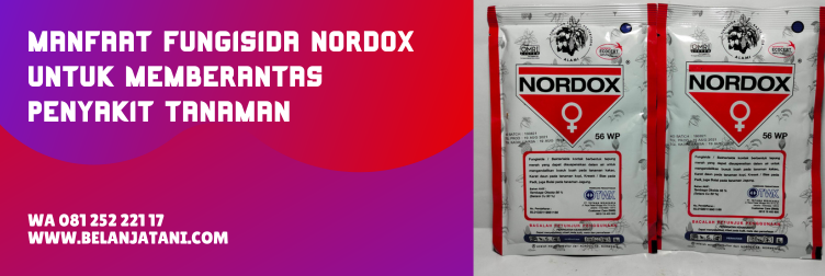 nordox, nordox fungisida, nordox 56 wp, bahan aktif nordox, manfaat fungisida nordox