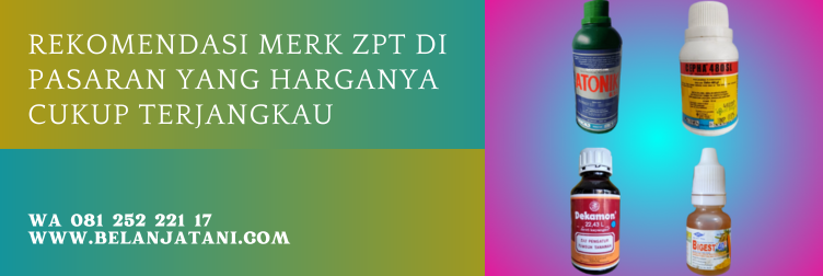 pupuk zpt terbaik, zpt terbaik, fungsi zpt, merk zpt untuk cabe, merk zpt untuk jagung