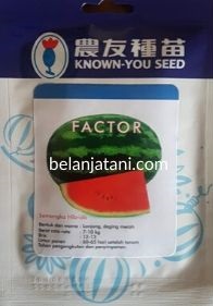 Jual Bibit Semangka Super Besar Harga Murah Berkualitas Terbaik | Belanja Tani Semangka Factor, Semangka Factor F1, Benih Semangka Factor, Semangka Berbiji Factor, Semangka Lonjong Factor, Semangka Merah Factor, Semangka Berbiji Factor, Semangka Factor Terbaru, Semangka Factor Murah, Semangka Factor Terbaik, Benih Semangka Factor, Cara Menanam Semangka Factor, Beli Semangka Factor, Jual Semangka Factor, Semangka Factor Murah, Budidaya Semangka Factor, Menanam Semangka Factor, Tanaman Semangka Factor, Tanam Semangka Factor, Known You Seed, Harga Diskon, Harga Promo, Cara, Belanja Tani