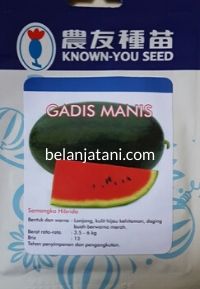 Jual Bibit Semangka Super Besar Harga Murah Berkualitas Terbaik | Belanja Tani Semangka Gadis Manis, Semangka Inul Gadis Manis, Semangka Gadis Manis Terbaru, Semangka Gadis Manis Murah, Semangka Gadis Manis Terbaik, Benih Semangka Gadis Manis, Beli Semangka Gadis Manis F1, Jual Semangka Gadis Manis, Known You Seed, Belanja Tani