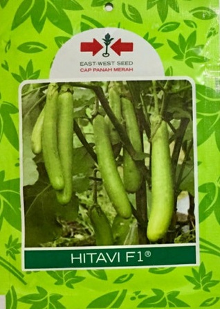 Terong Hitavi, Jual F1 Hitavi Murah, Benih Hitavi Terbaru, Hitavi Anti Virus, Benih Hitavi Murah, Belanja Tani
