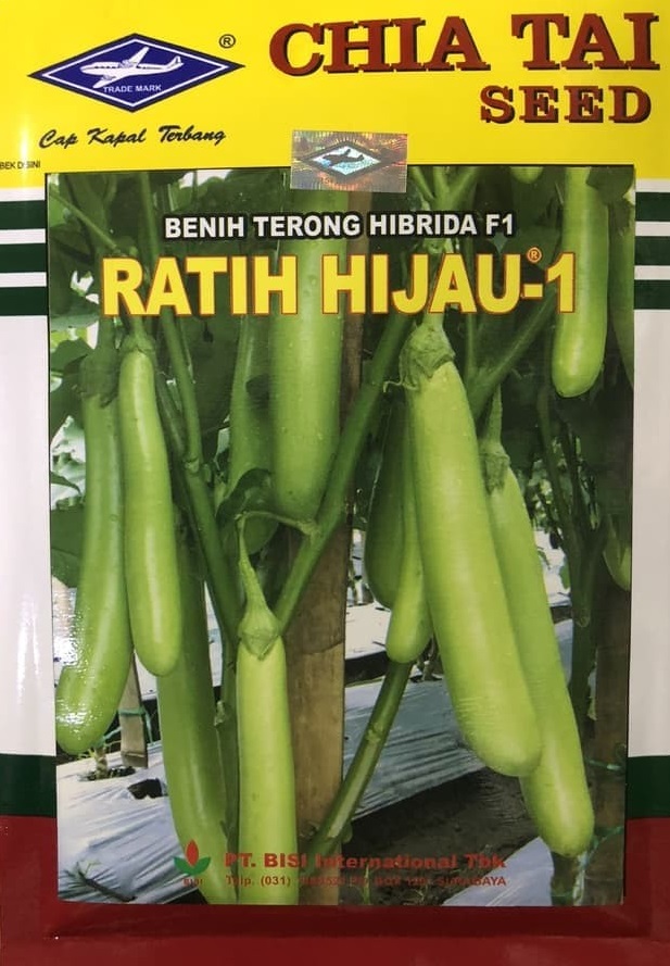 Terong Ratih Hijau 1, Terong Ratih Hijau 1 F1, Terong Hijau Ratih Hijau 1, Ratih Hijau 1 F1, Benih Terong Ratih Hijau 1, Terong Ratih Hijau 1 Murah, Terong Ratih Hijau 1 Terbaru, Terong Ratih Hijau 1 Terbaik, Harga Murah, Terbaru, Terbaik, Belanja Tani, Bisi, Chia Tai Seed, Cap Kapal Terbang