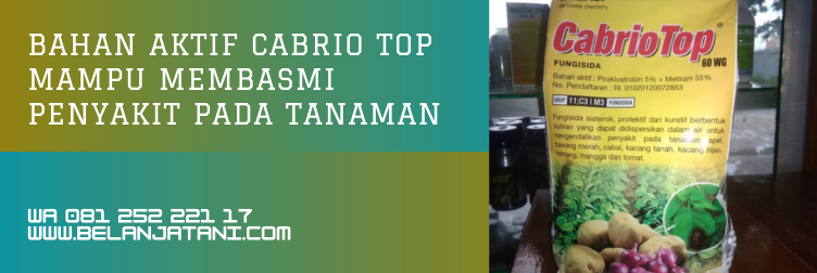 cabrio top, cabrio top fungisida bahan aktif, cabrio top fungisida, bahan aktif cabrio, harga cabrio top