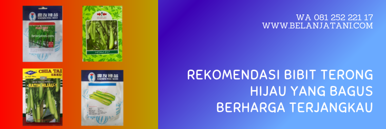 bibit terong hijau panjang, tanaman terong hijau, terong lalap hijau, bibit terong unggul, terong hijau panjang