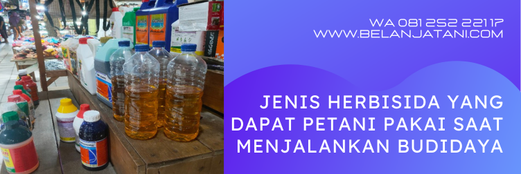 agil herbisida, herbisida agil untuk kacang tanah, dosis penggunaan herbisida agil, kegunaan herbisida agil, dosis agil per tangki