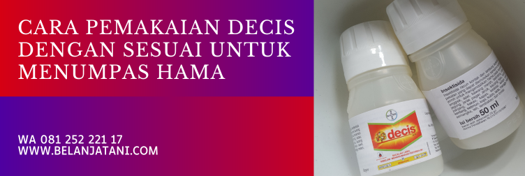 decis, bahan aktif decis, cara pakai decis, cara menggunakan decis untuk tanaman, cara penggunaan decis