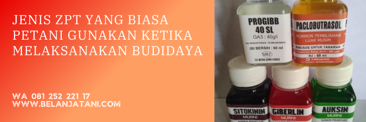 Jual ZPT Ethrel 480SL Kualitas Unggulan Berharga Terjangkau | Belanja Tani kegunaan ethrel, harga ethrel, efek samping penggunaan ethrel, ethrel pematang buah, cara pemakaian ethrel untuk pisang