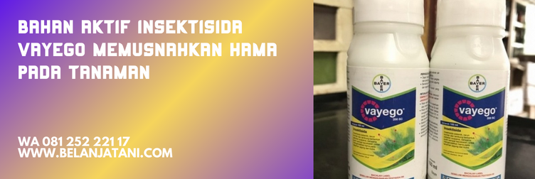 insektisida bahan aktif tetraniliprol, vayego bayer, bahan aktif vayego, harga insektisida vayego, bahan aktif vayego bayer